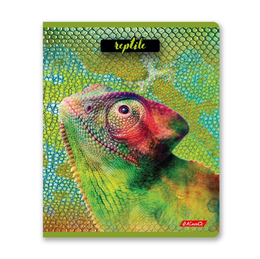 Светоч 80ТСК5_8_2_1 Тетрадь ученическая общая, твин лак, A5 80 л. на скобе 65 г/кв.м , белизна 100 % 5 шт. клетка 000487 Рептилии  фото 8