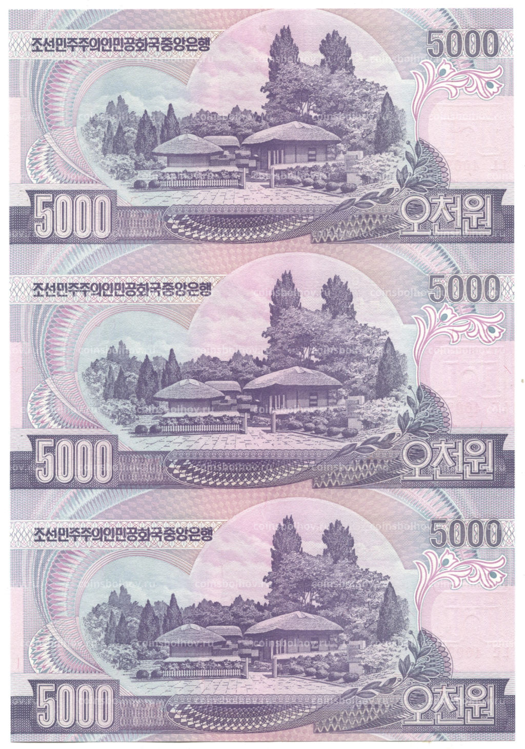5000 вон 2006 года Северная Корея Лист из трех банкнот