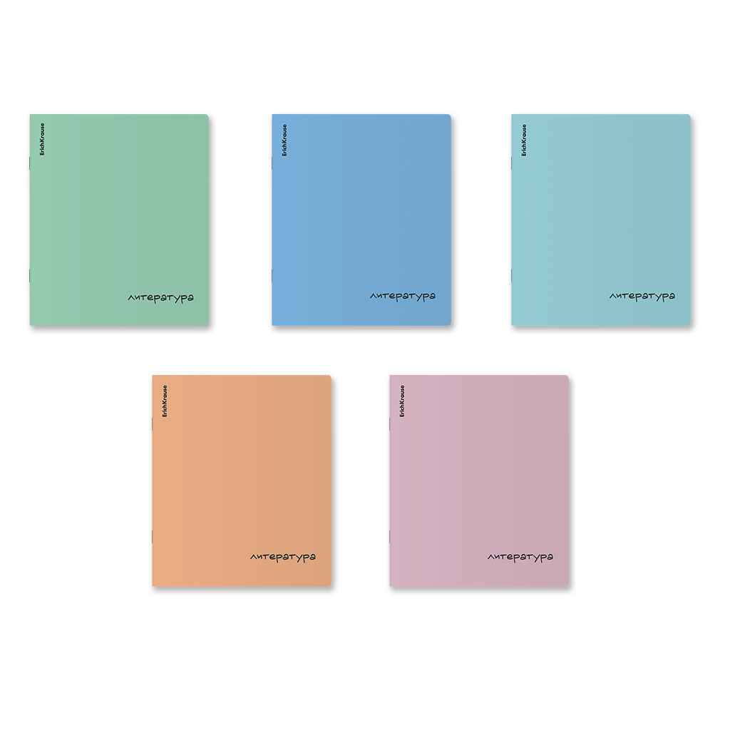 АКЦИЯ Цена за 5 шт. Тетрадь общая ученическая с пластиковой обложкой на скобе ErichKrause Dream, Литература, 48 листов, линейка_MIX-PACK