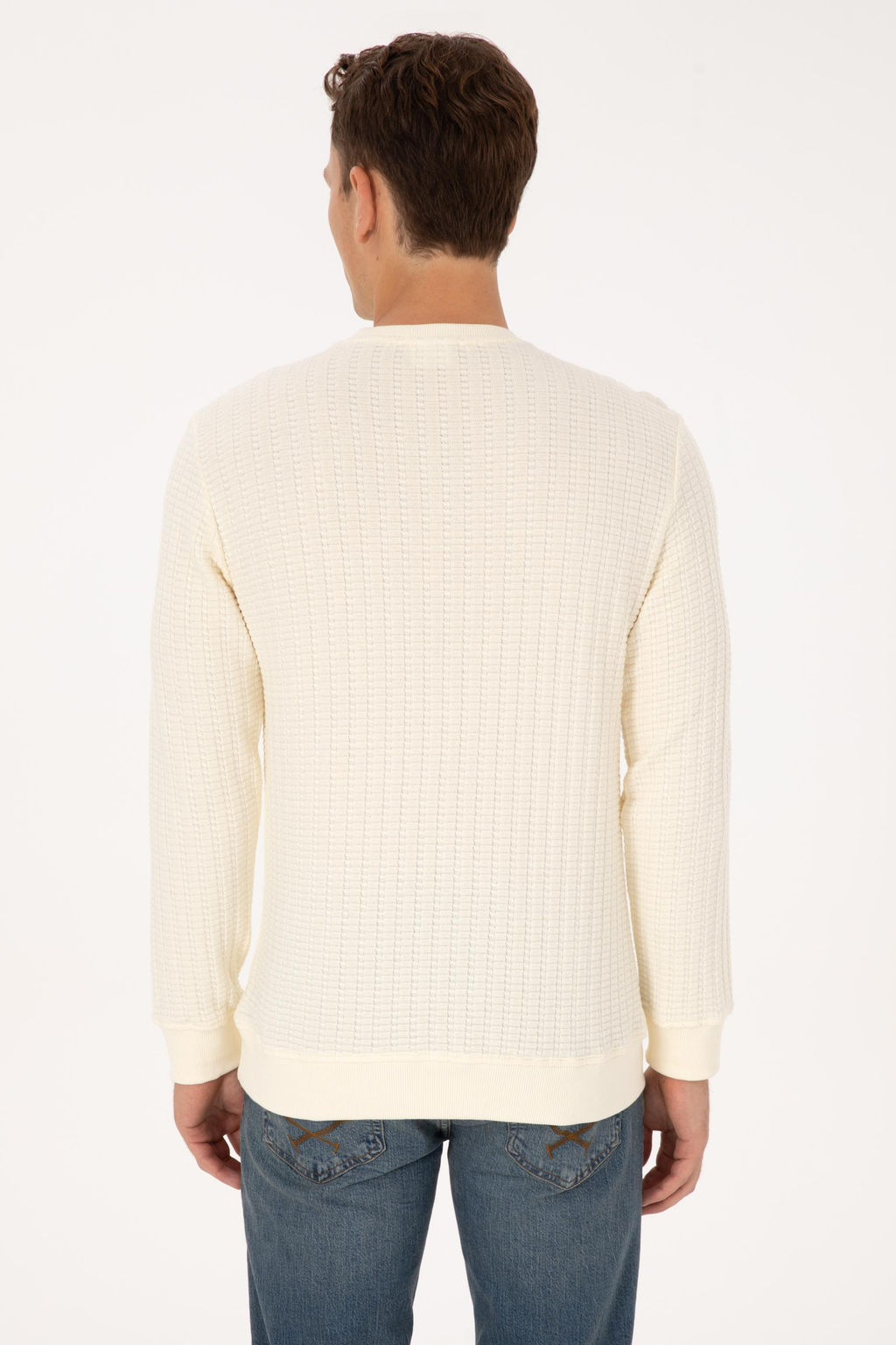 Erkek Regular Fit Bisiklet Yaka Desenli Krem Sweatshirt