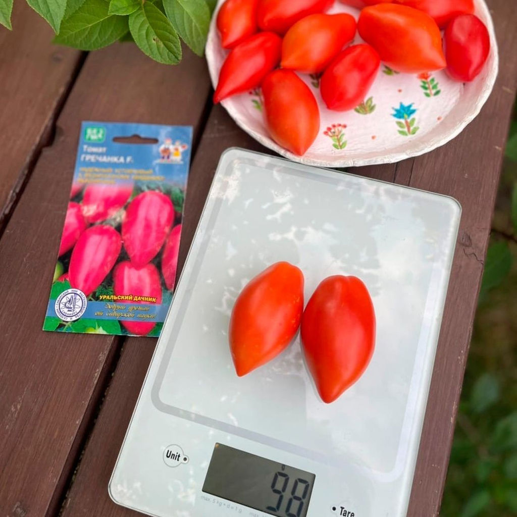 Томат ГРЕЧАНКА F1 Надёжный! Устойчив к фузариозному увяданию! Вкуснятина! - Уральский дачник фото 5