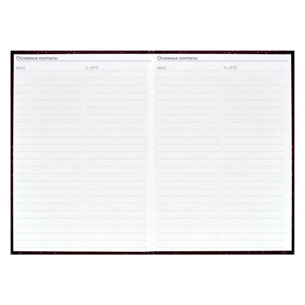 Ежегодник учителя арт. 62336 БОРДОВАЯ ФАКТУРА - Феникс+ фото 18