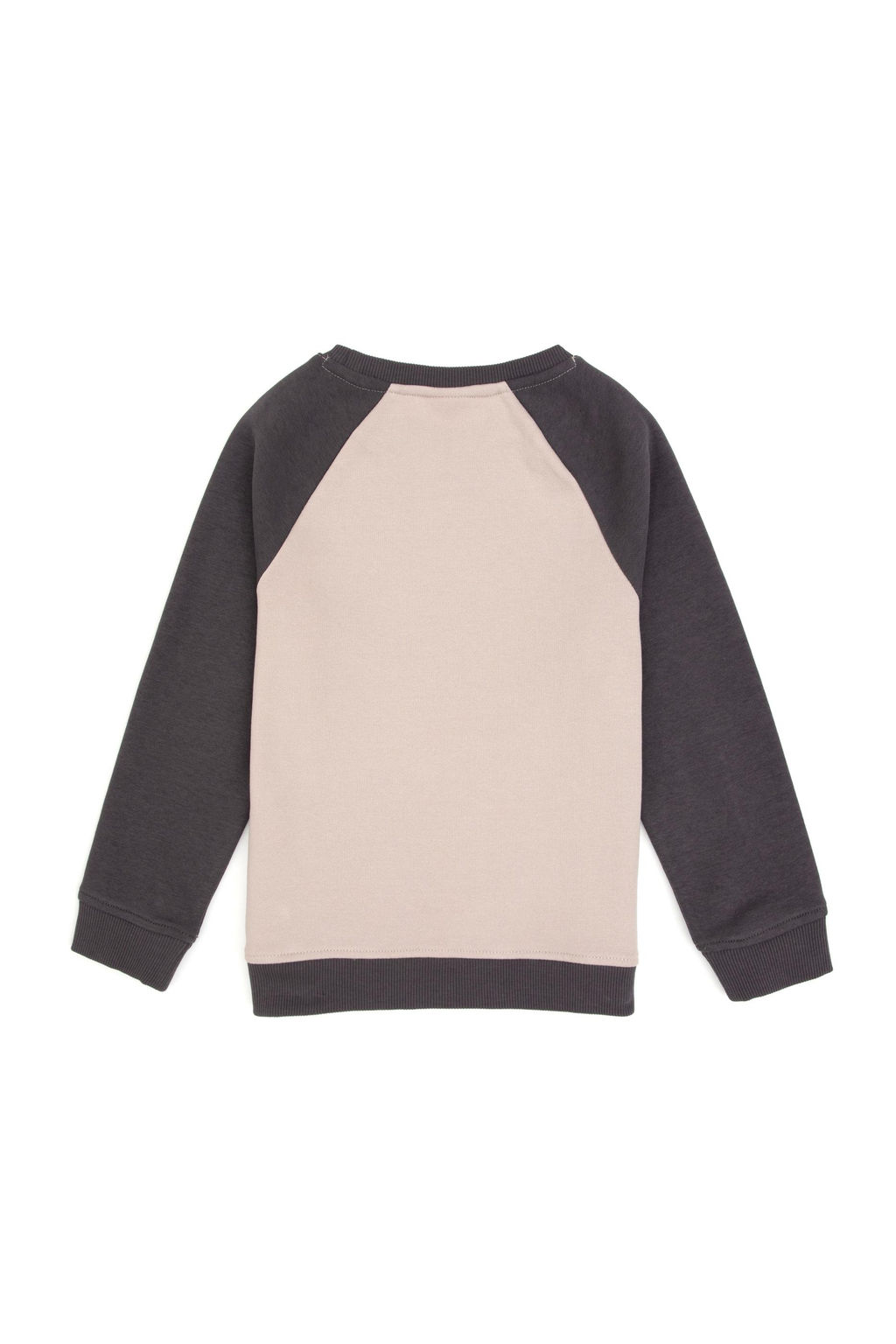 Erkek _ocuk Gri Bisiklet Yaka Sweatshirt - U.s. polo assn фото 2