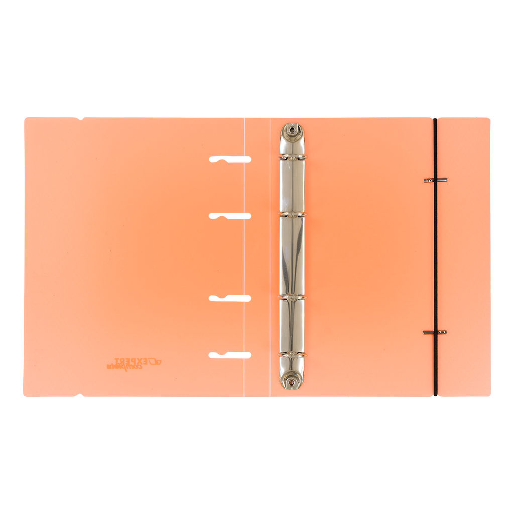 Expert Complete PRISMA NEON Папка-обложка для сменного тетрадного блока на 4 кольцах A5+ 700 мкм 20 мм эффект 3D 1 шт. d - 20 мм оранжевый EC21140012