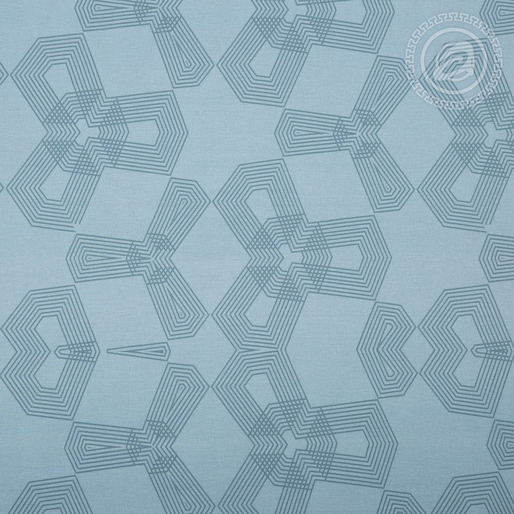 Постельное бельё Токио (бязь премиум) Евро/Пододеяльник: 1 шт. - 215*200; Простыня: 1 шт. - 220*240; Наволочка: 2 шт. - 70*70; Премиум - Артпостель фото 5