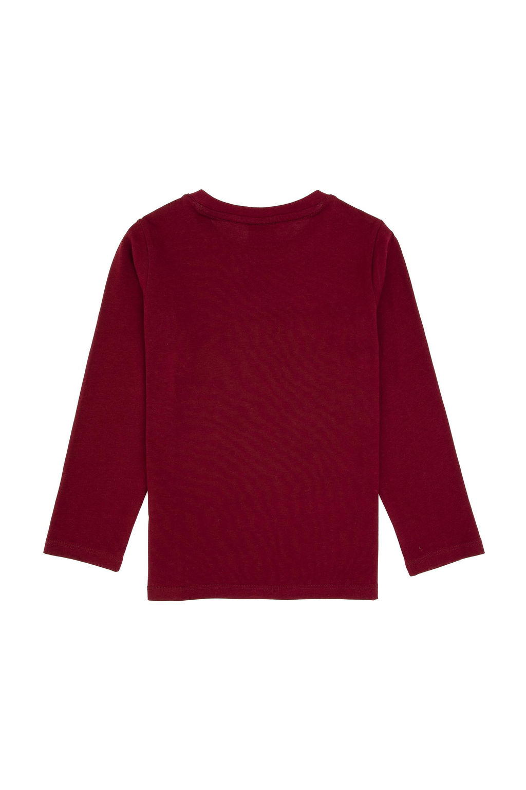 Erkek _ocuk Bordo Bisiklet Yaka Sweatshirt - U.s. polo assn фото 2
