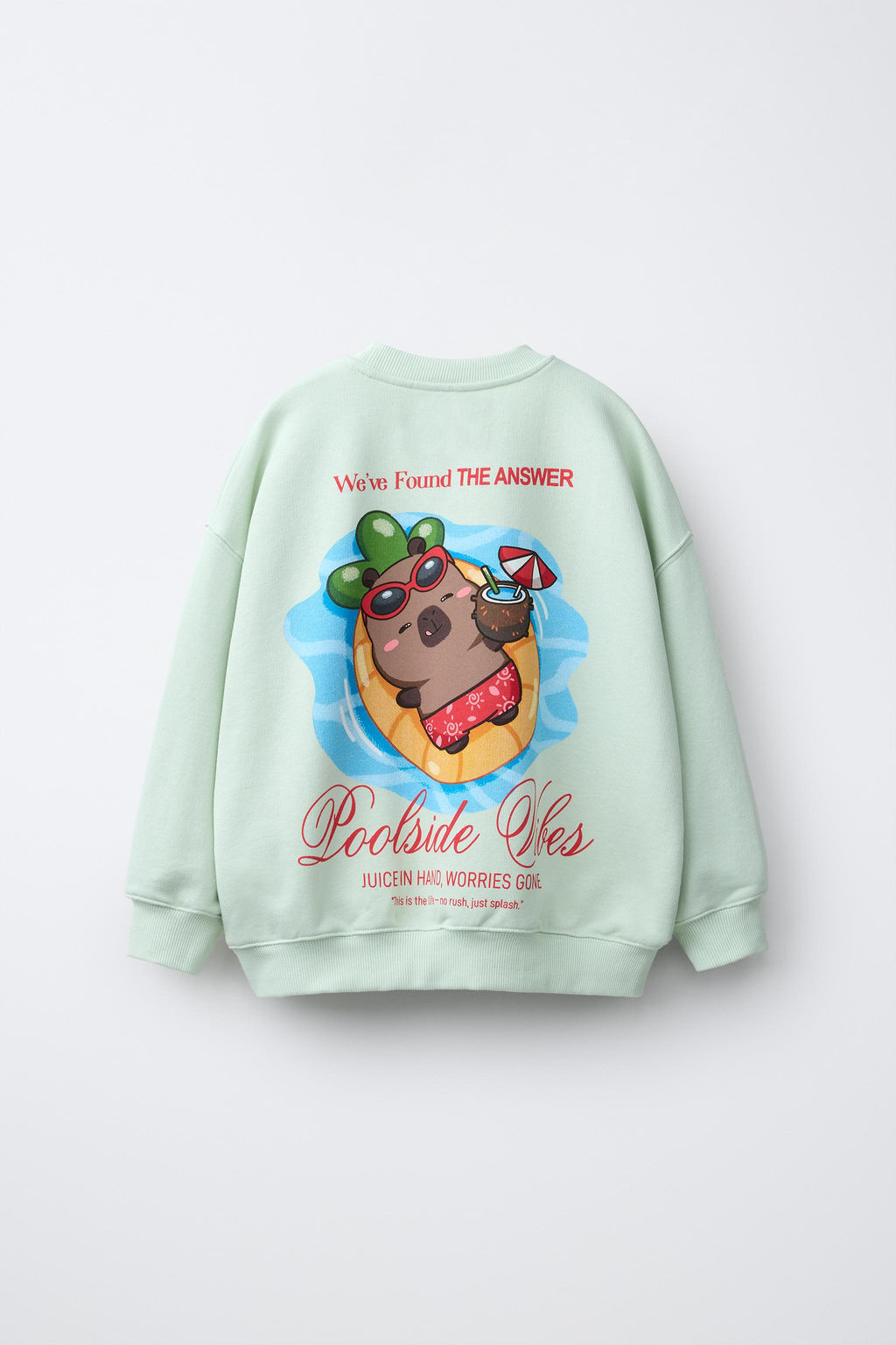 SUDADERA ESTAMPADA CAPIBARA CAPYFUN  / Verde claro - Zara фото 4