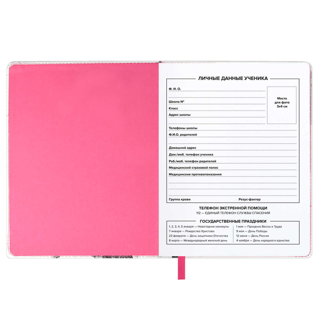 Дневник школьный арт. 68717 / 15 МИШКА В ШАПОЧКЕ