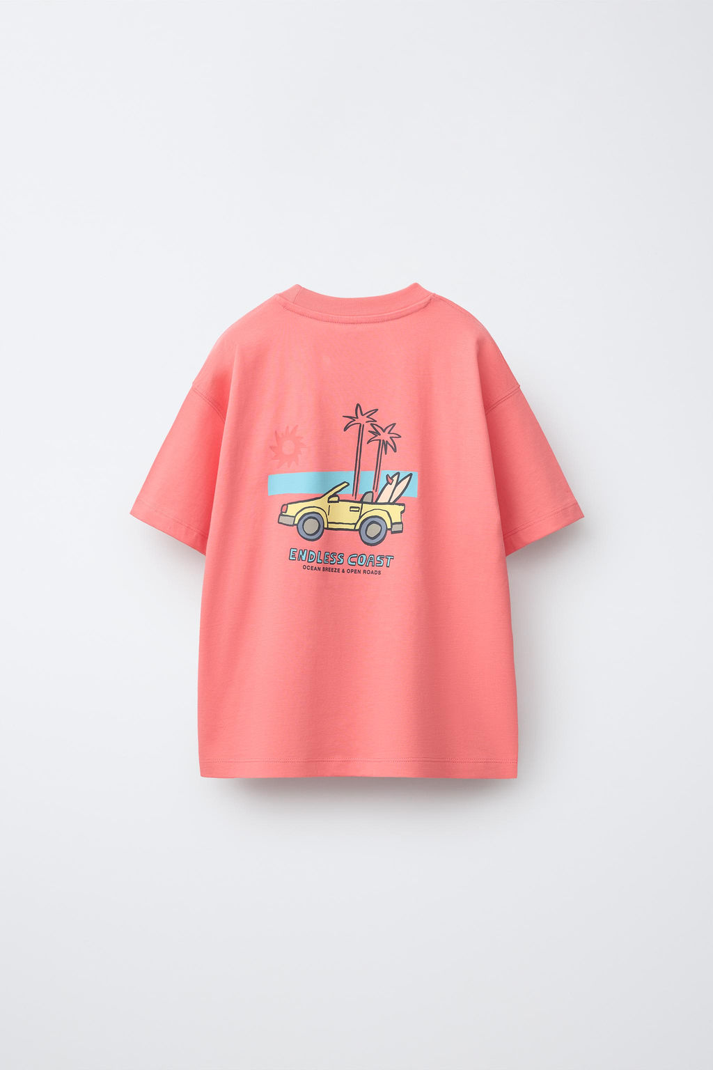 CAMISETA BORDADO / Salm?n