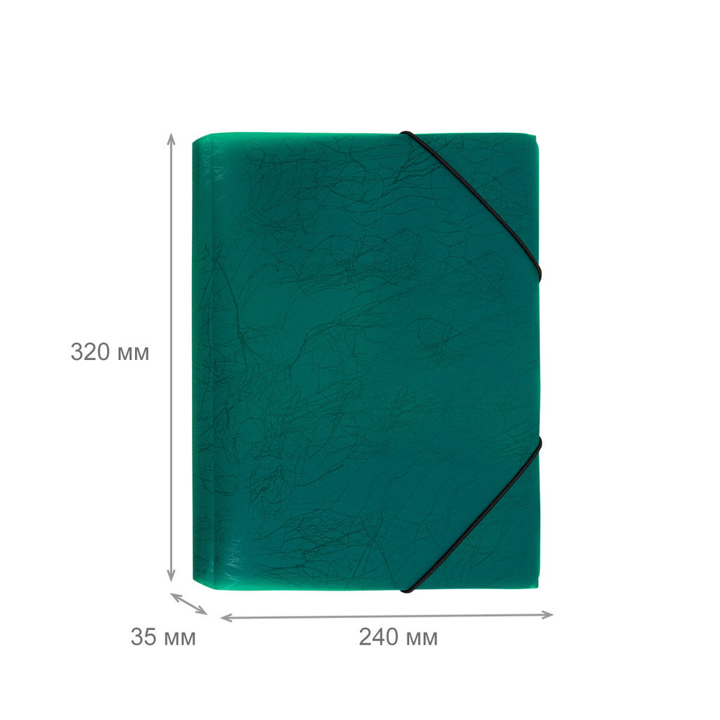 Expert Complete Premier Папка на резинке A4 600 мкм 35 мм волокно 5 шт. зеленый new EC21043003