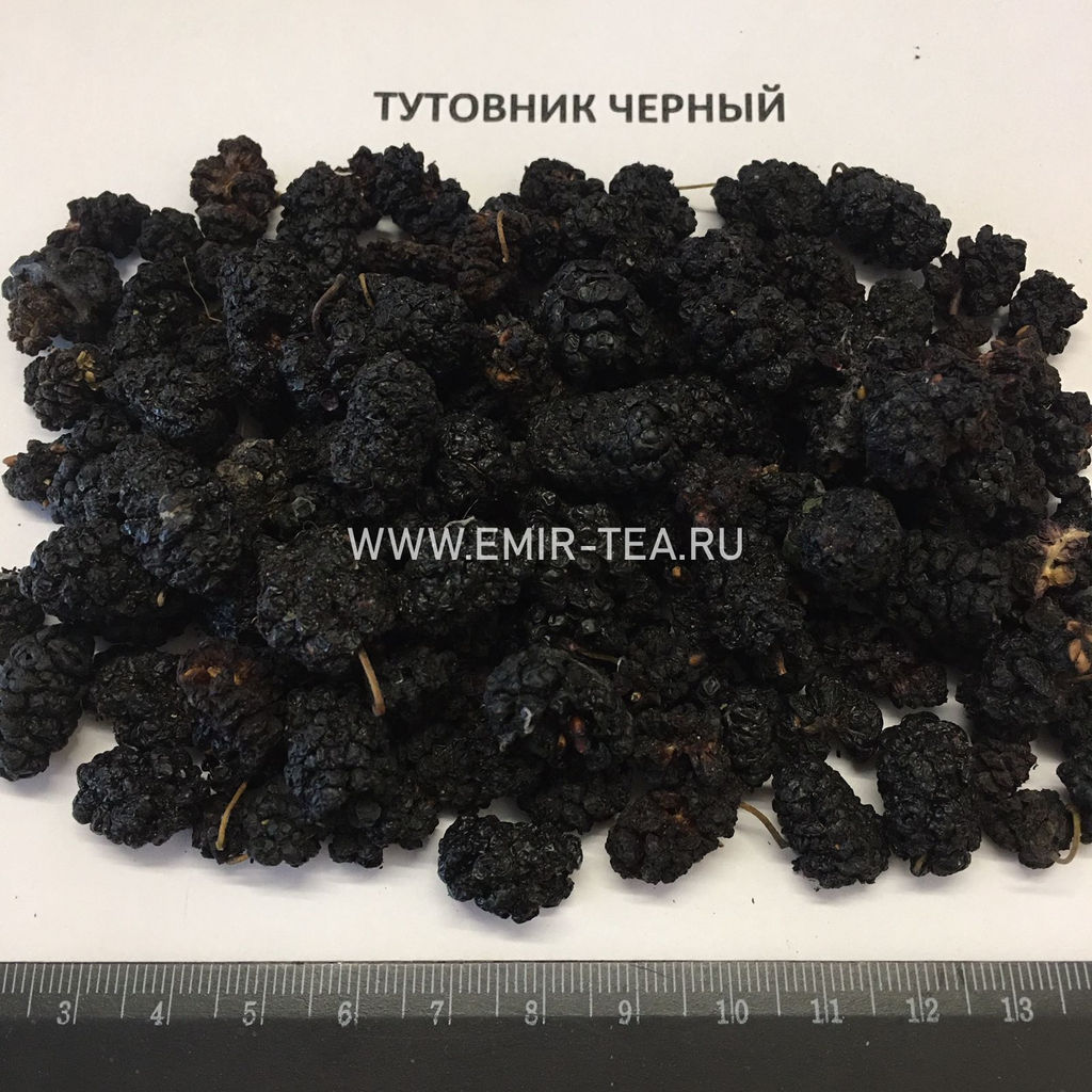 Тутовник черный (код 1627)
