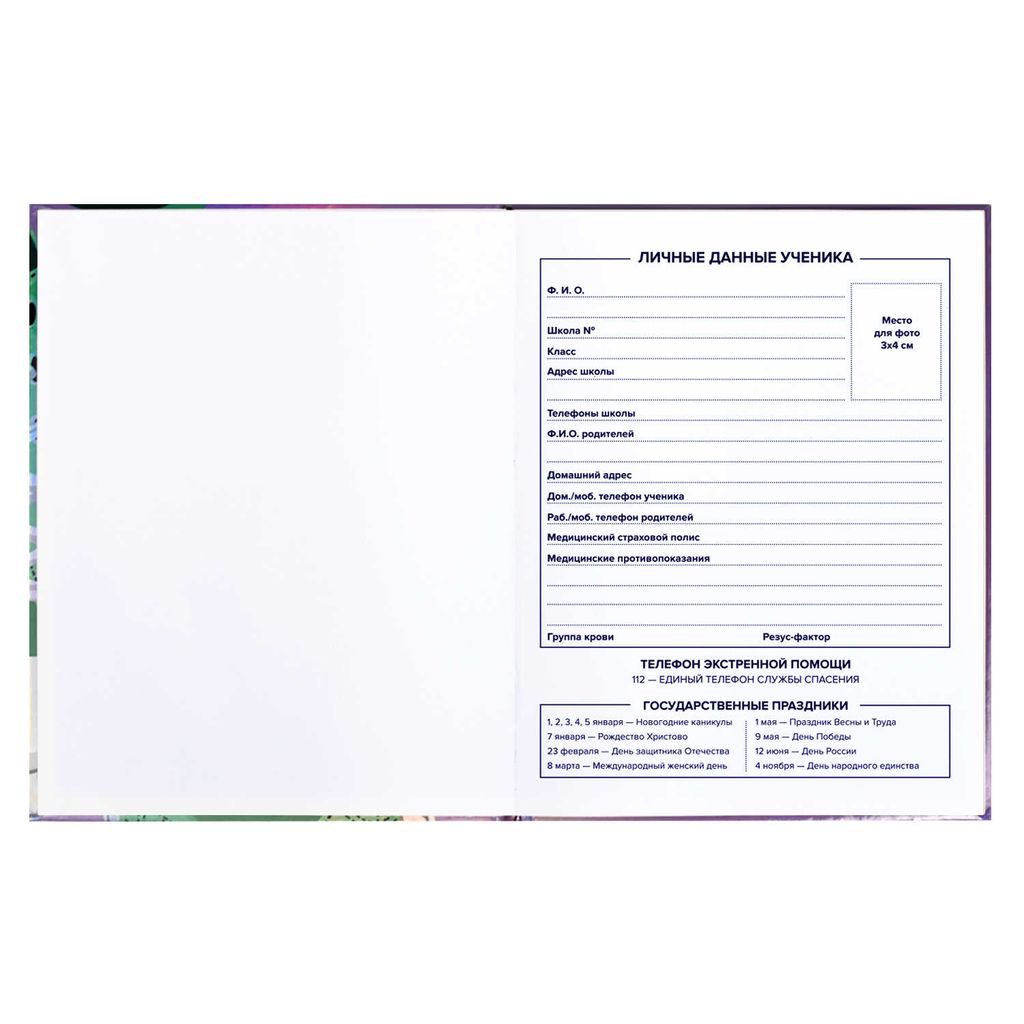 Дневник школьный 5-11 класс арт. 60135 КЕДЫ - Феникс+ фото 6