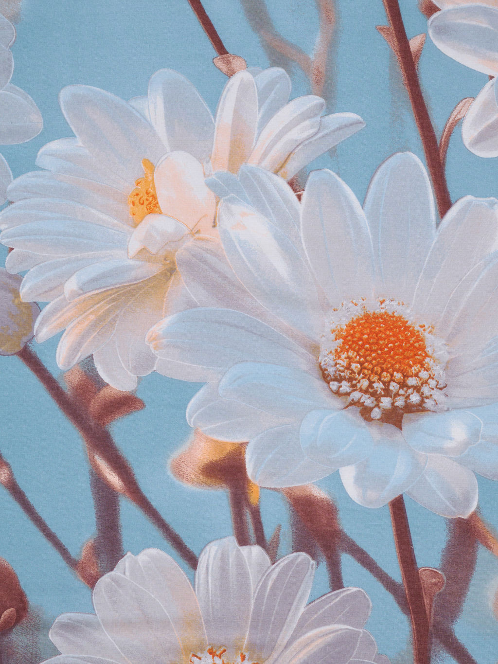 Комплект наволочек бязь люкс - Ромашки 50х70