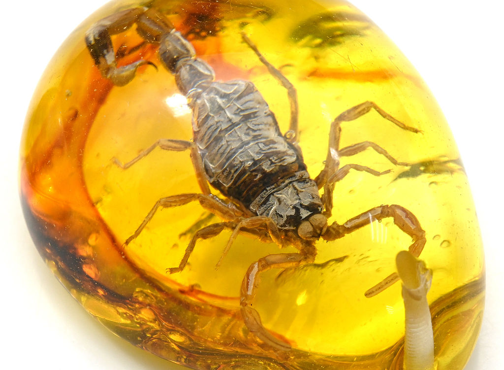 Кулон из янтаря искусственного капля 43*55мм Скорпион, цв.коньячный