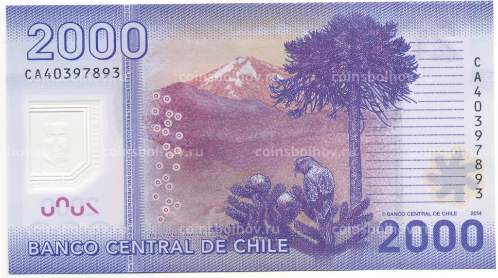 2000 песо 2014 года Чили