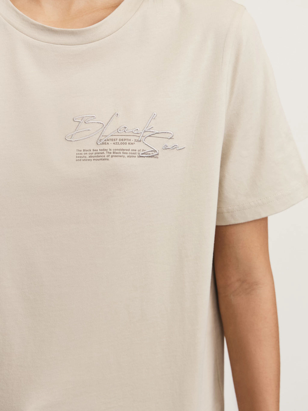 Базовая футболка с вышивкой / Zarina  фото 7