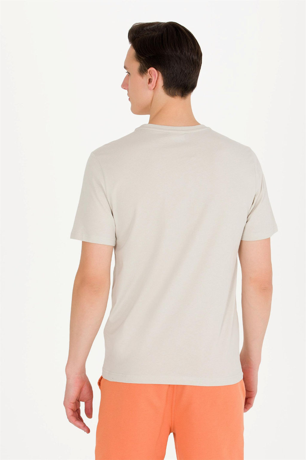 Мужская футболка с круглым вырезом Stone Stone - U.s. polo assn фото 11