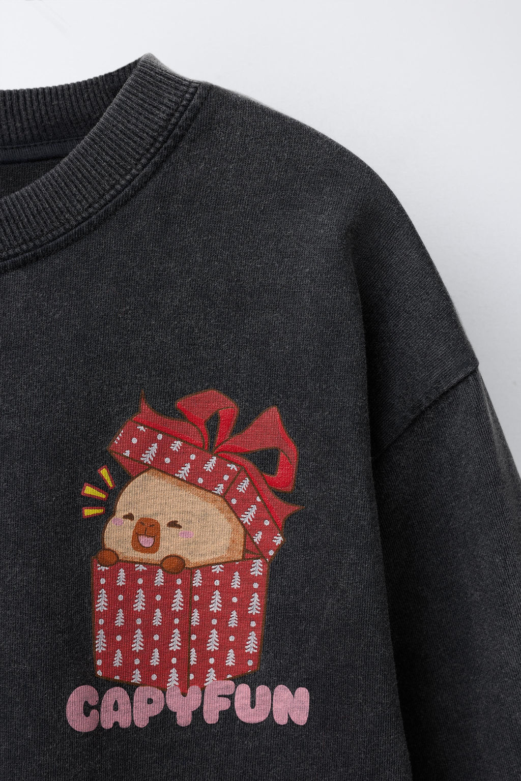 FADED-EFFECT CAPYBARA CAPYFUN  T-SHIRT - Zara фото 3