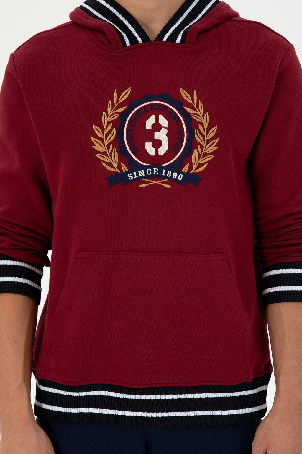 Мужской бордово-красный свитшот Неожиданная скидка в корзине - U.s. polo assn фото 6