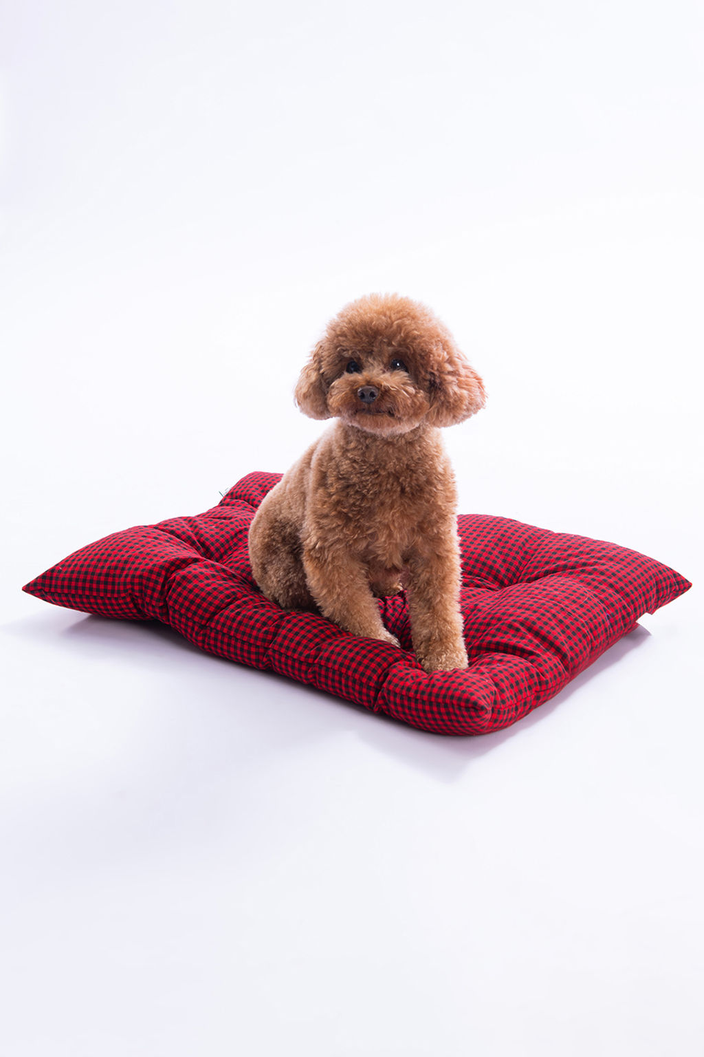 Pet K?rm?z? Potikare Desenli Ici Dolgulu Kedi Ve Kopek Yatag? 50x70cm TPHAW26KK00005