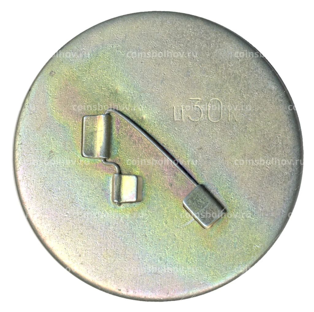 Значок Ботик Петра I