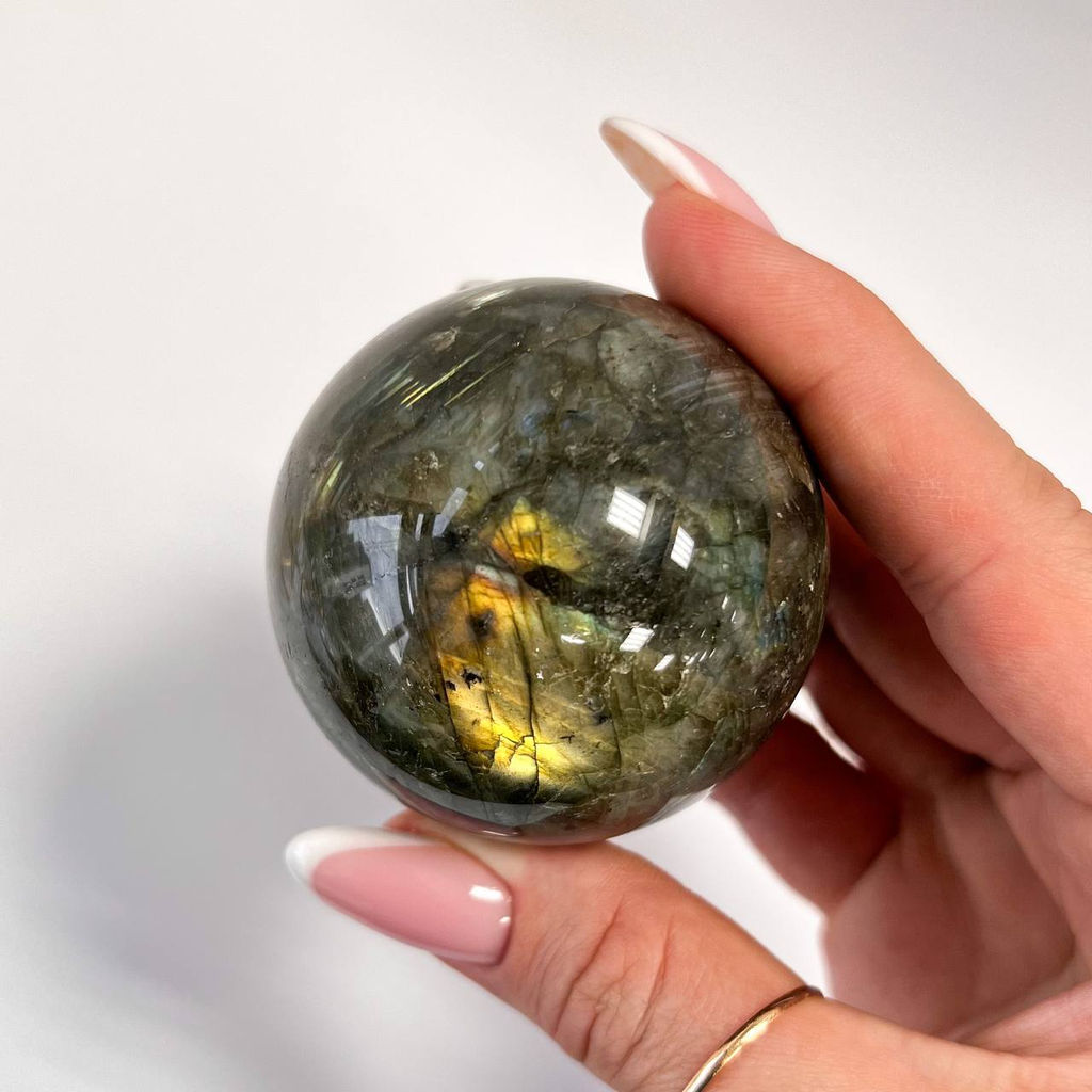 Шар из Лабрадора на подставке