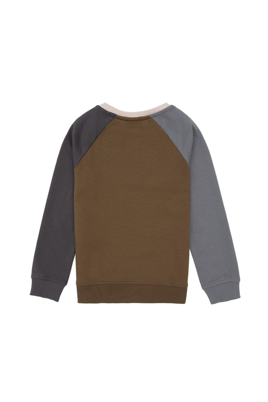 Толстовка цвета хаки для мальчика Неожиданная скидка в корзине - U.s. polo assn фото 2