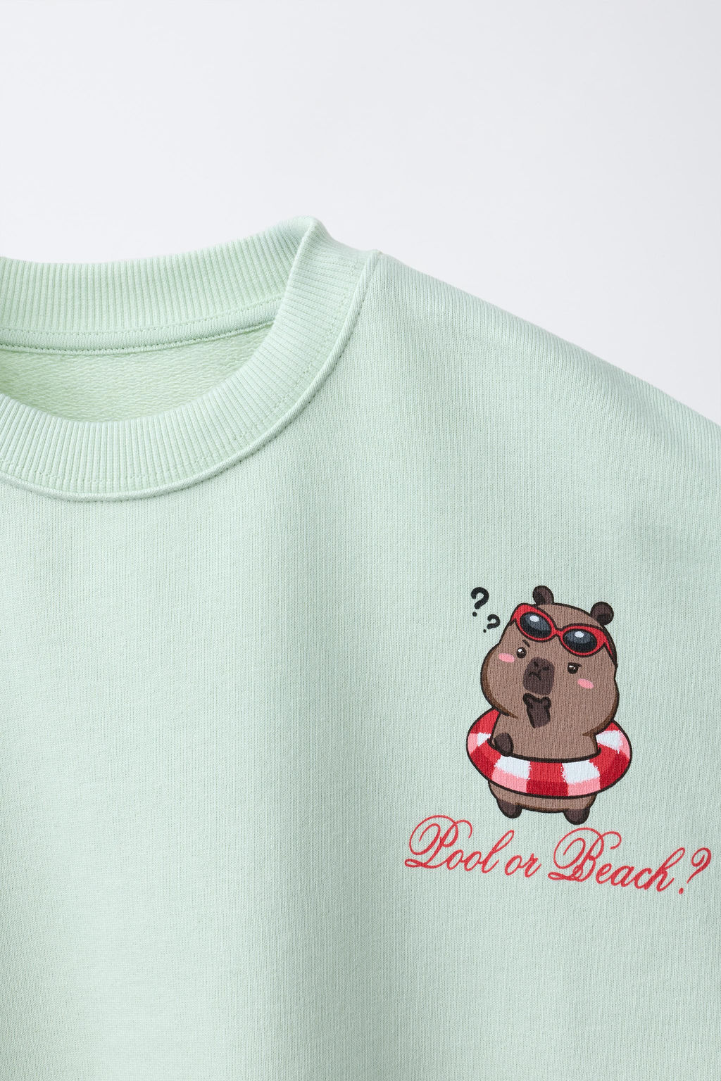 SUDADERA ESTAMPADA CAPIBARA CAPYFUN  / Verde claro - Zara фото 5