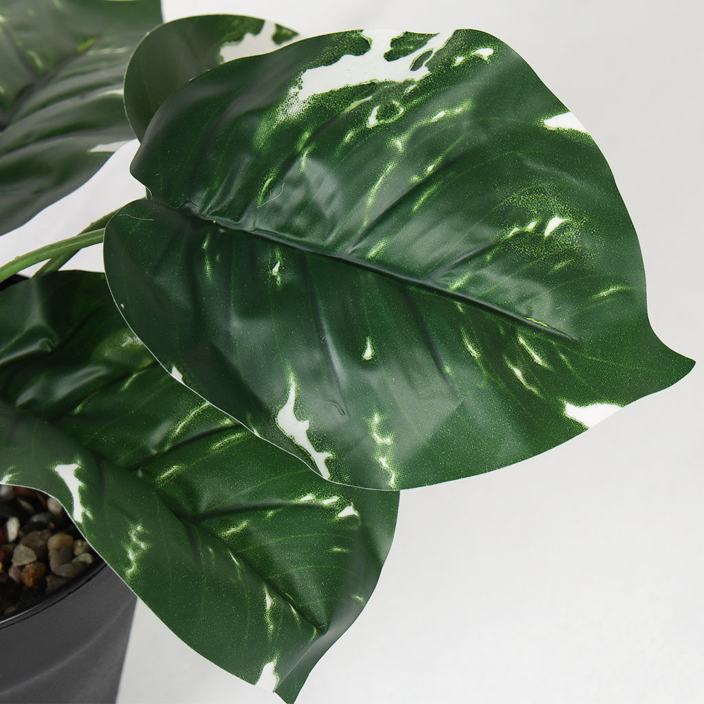 Цветочная композиция Сциндапсус 40 см / ZH-009 /уп 48/ - Галеонтрейд фото 7