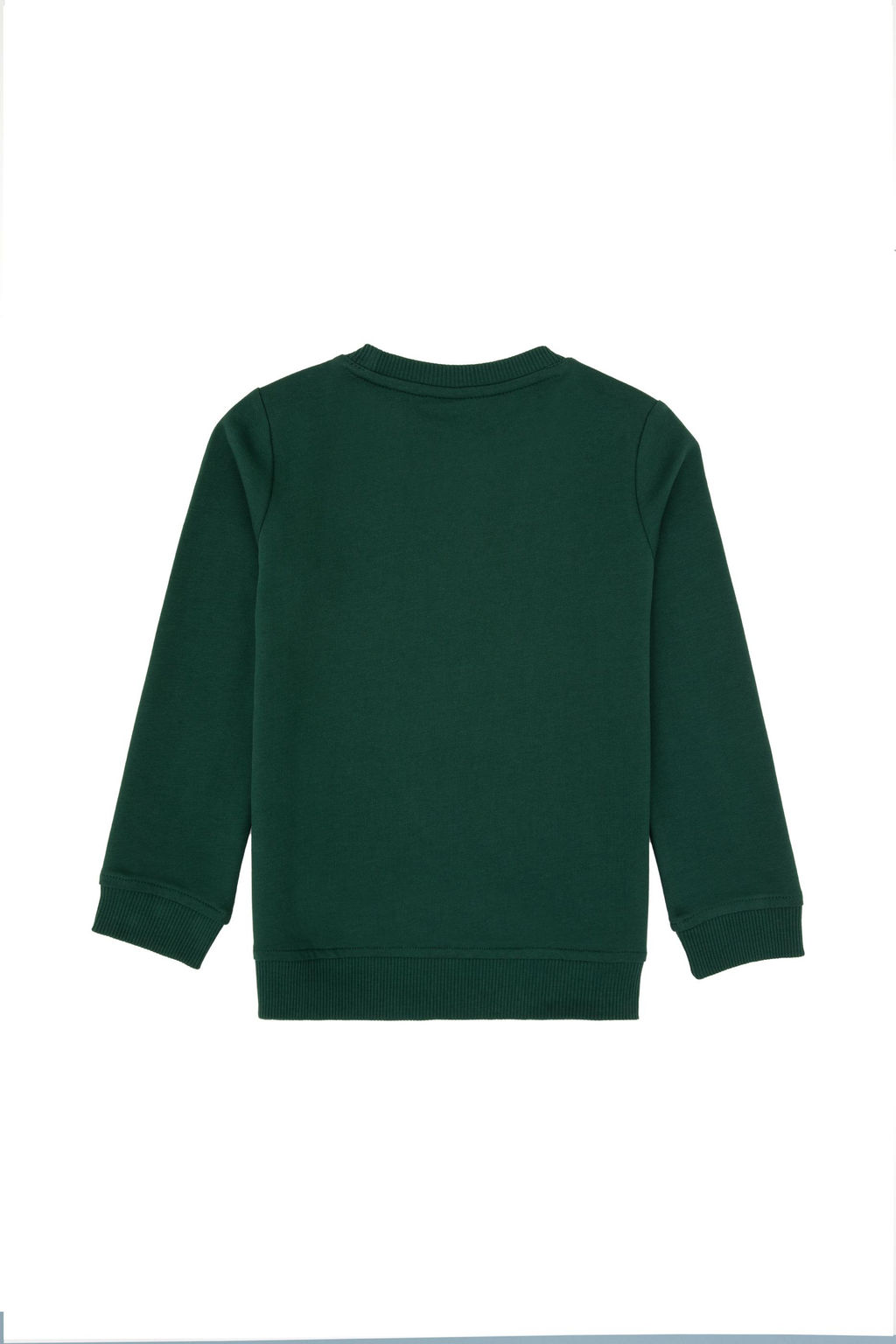 Erkek _ocuk Koyu Ye_il Basic Bisiklet Yaka Sweatshirt Sepette S_rpriz _ndirim - U.s. polo assn фото 2