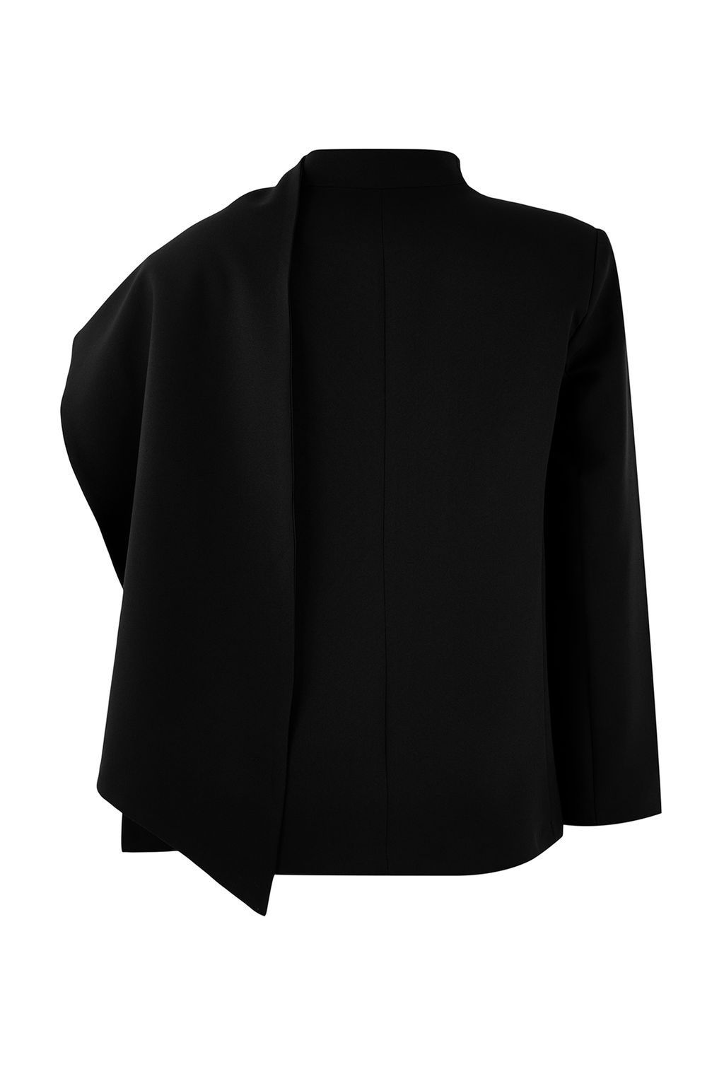 Siyah Sal Yaka Regular/Normal Kal?p Dokuma Astarl? Vatkal? Blazer Ceket TWOSS26BC00010