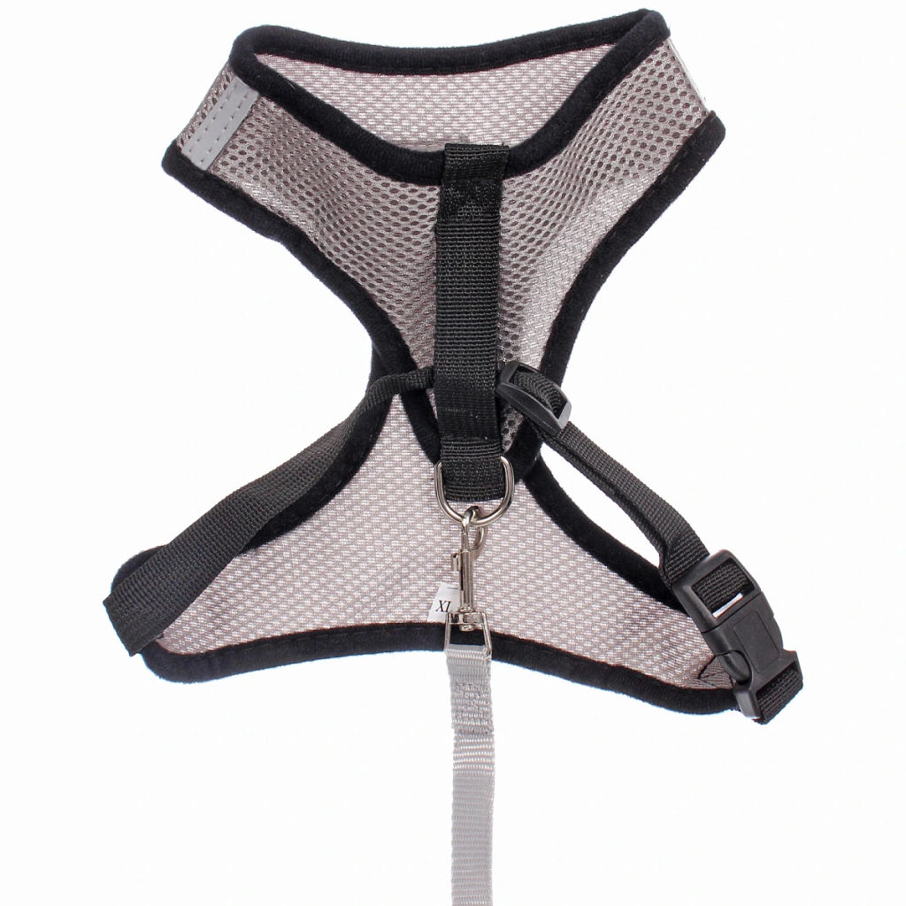 Цена за 2 шт. Шлейка с поводком 118см "Sweet puppy" размер ХL, цвет серый