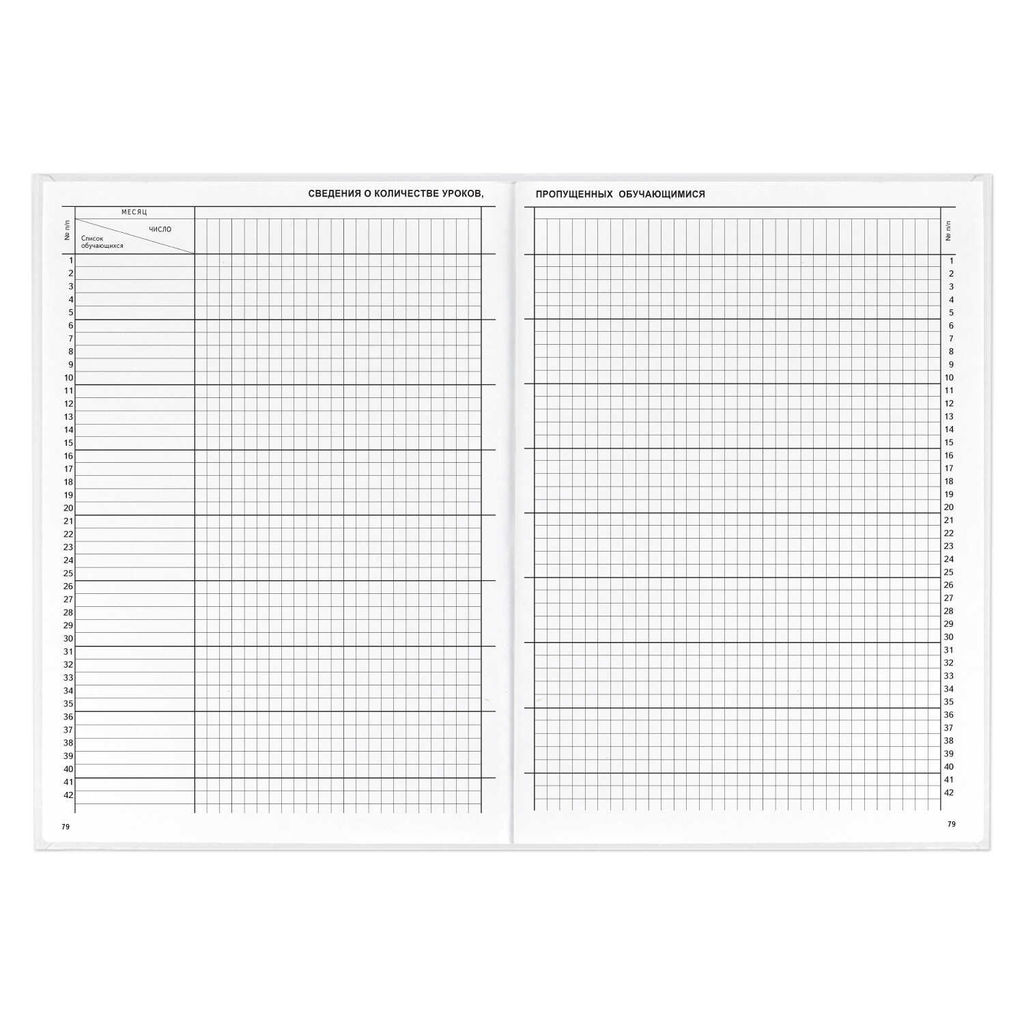 Классный журнал 10-11 класс арт. 5193