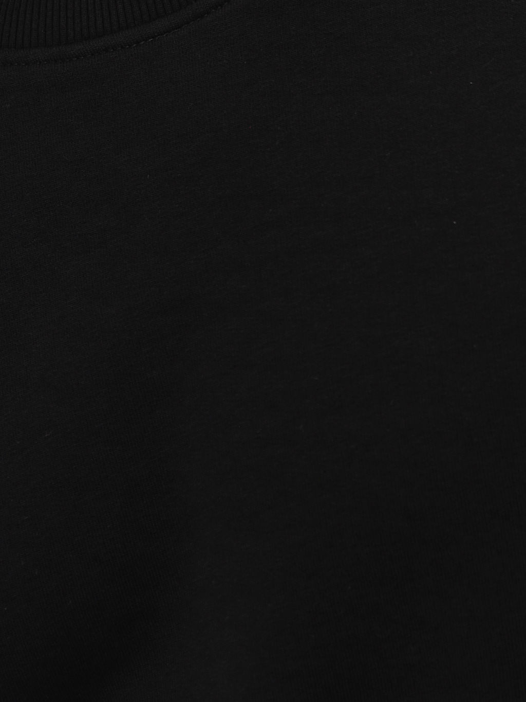 Свитшот мужской GREG G121-OZ03-31 (черный)  фото 2