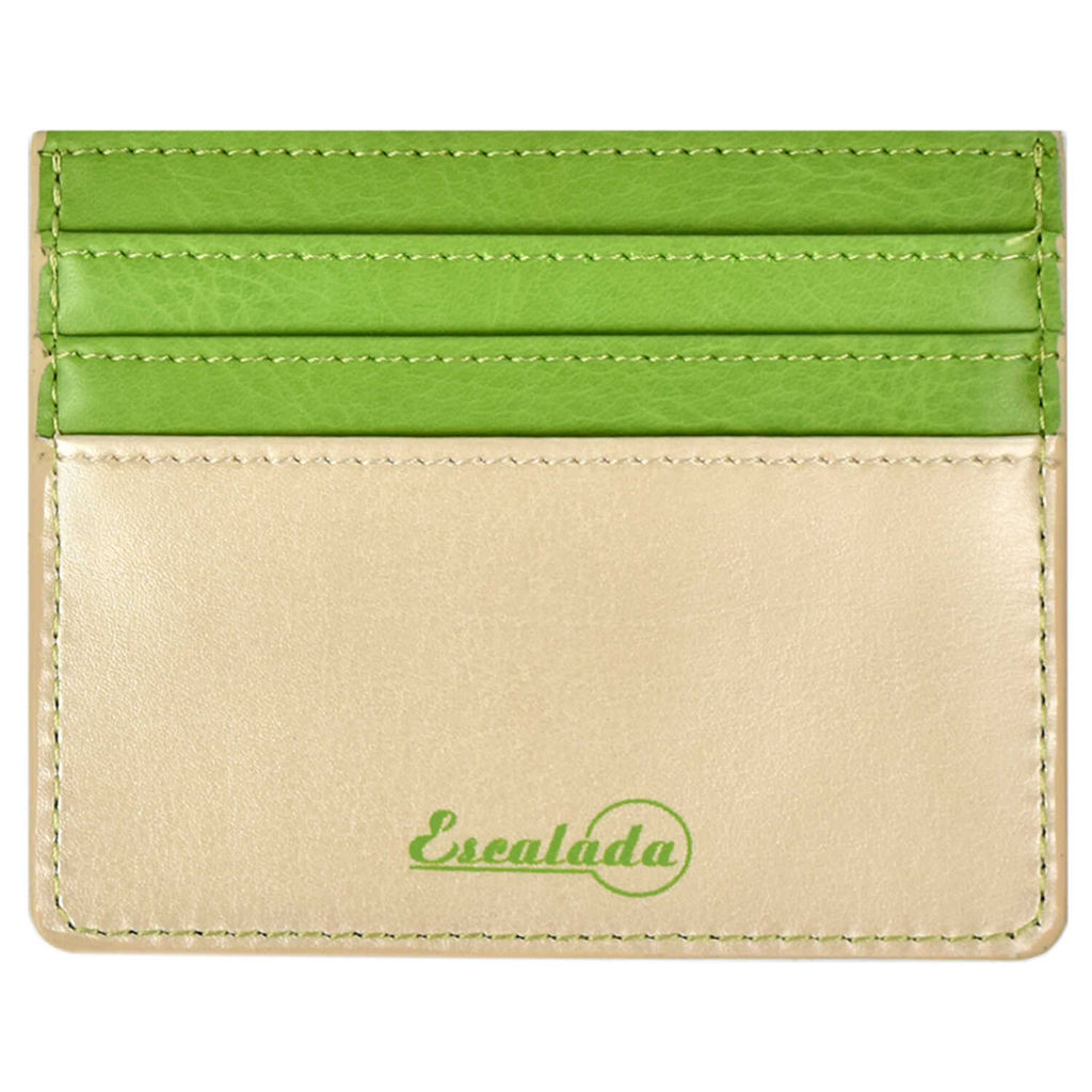 Чехол д/пласт. карт арт.48419/50 САРИФ САЛАТОВЫЙ+САРИФ БЕЖЕВЫЙ - Феникс+ фото 3