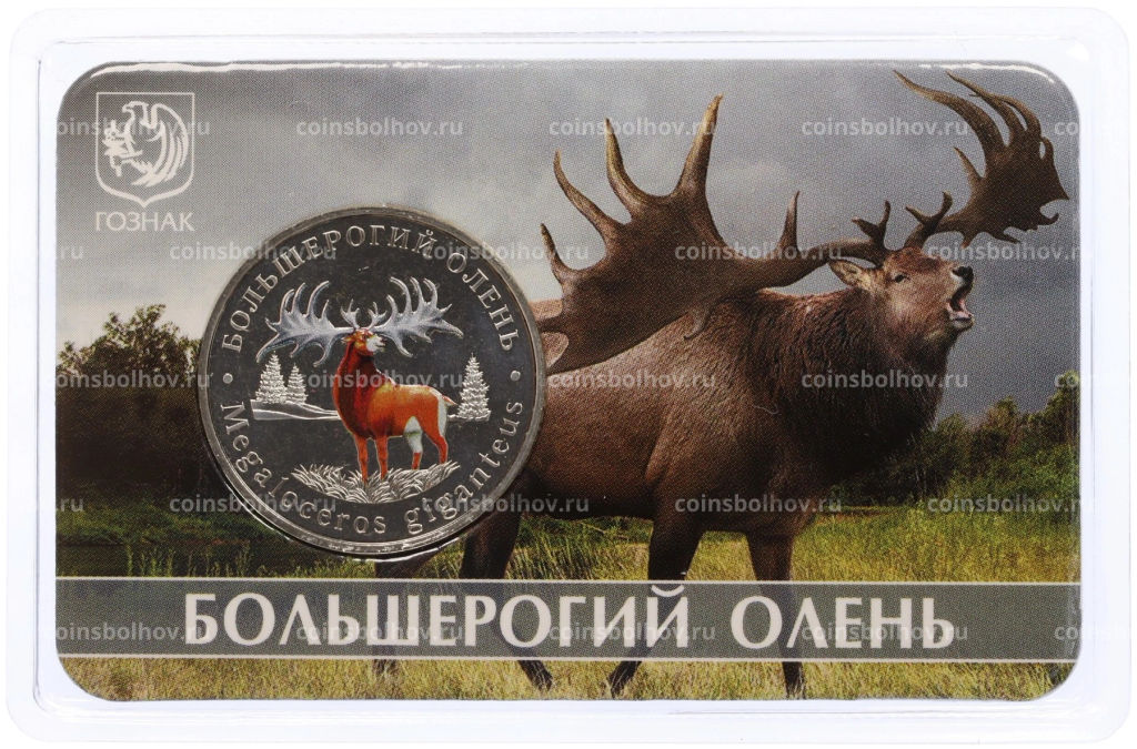 Монета Монетовидный жетон 5 червонцев 2024 года ММД Исчезнувшие виды Большерогий олень (Цветное покрытие, блистер)