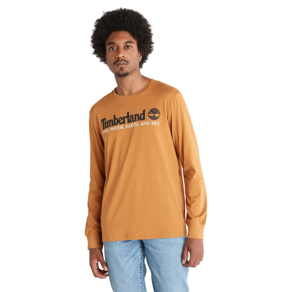 Футболка с длинным рукавом Timberland Longsleeve WWES Logo Regular желтая