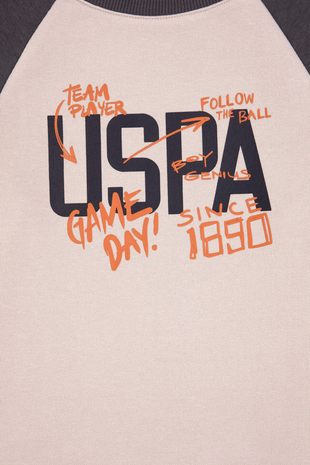 Erkek _ocuk Gri Bisiklet Yaka Sweatshirt - U.s. polo assn фото 3