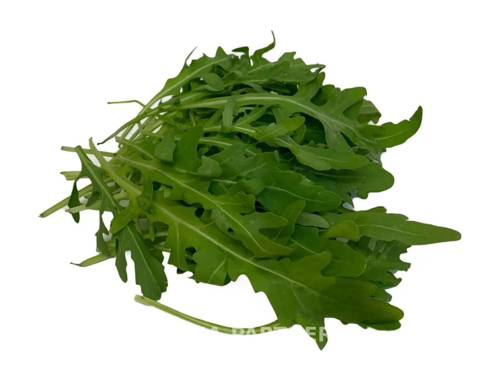 Рукола Триция - Партнер фото 5