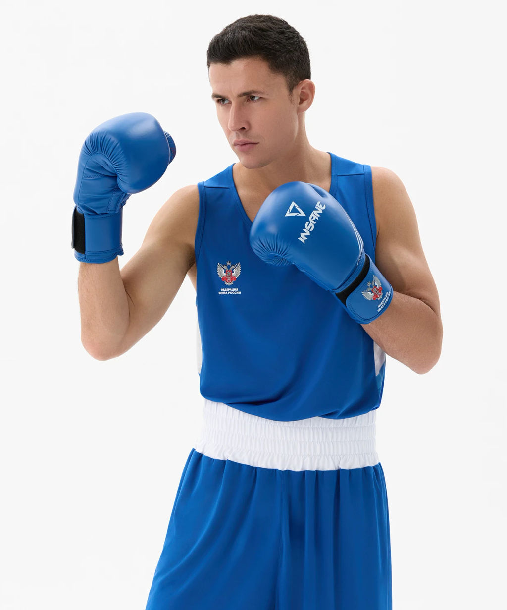Перчатки боксерские INSANE RBF IN25-BG600, синий, 12 oz
