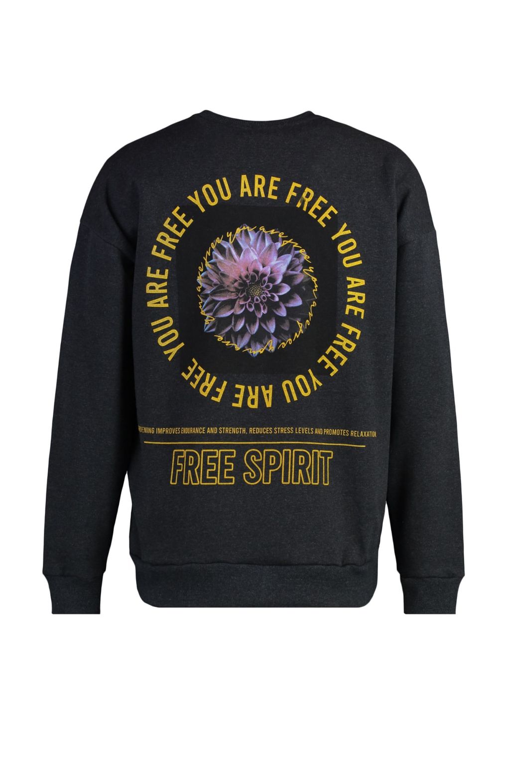 Antrasit Oversize/Genis Kesim Cicek S?rt Bask?l? Ici Polarl?/S?cak Tutan Sweatshirt TMNAW23SW00493