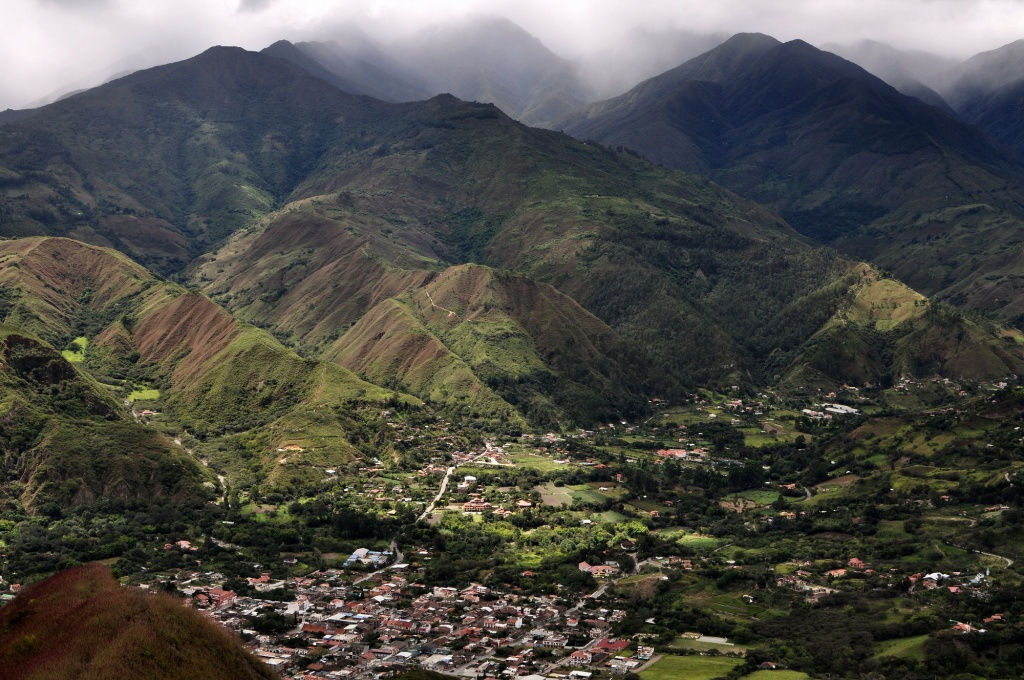 Редкий МИКРОЛОТ Кофе Эквадор Vilcabamba 200 гр MADEO  фото 4