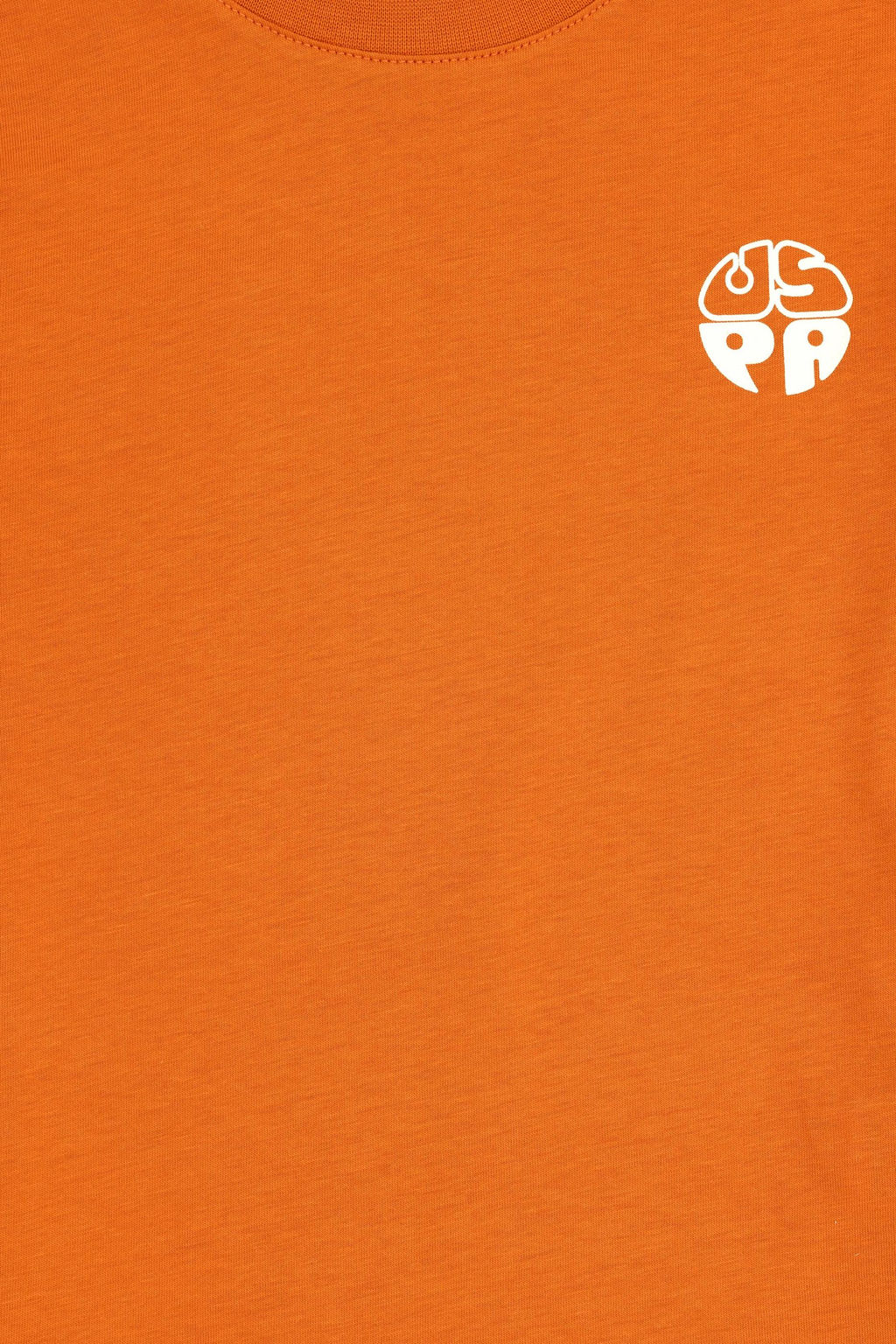 Erkek _ocuk Bak_r Basic Ti__rt - U.s. polo assn фото 3