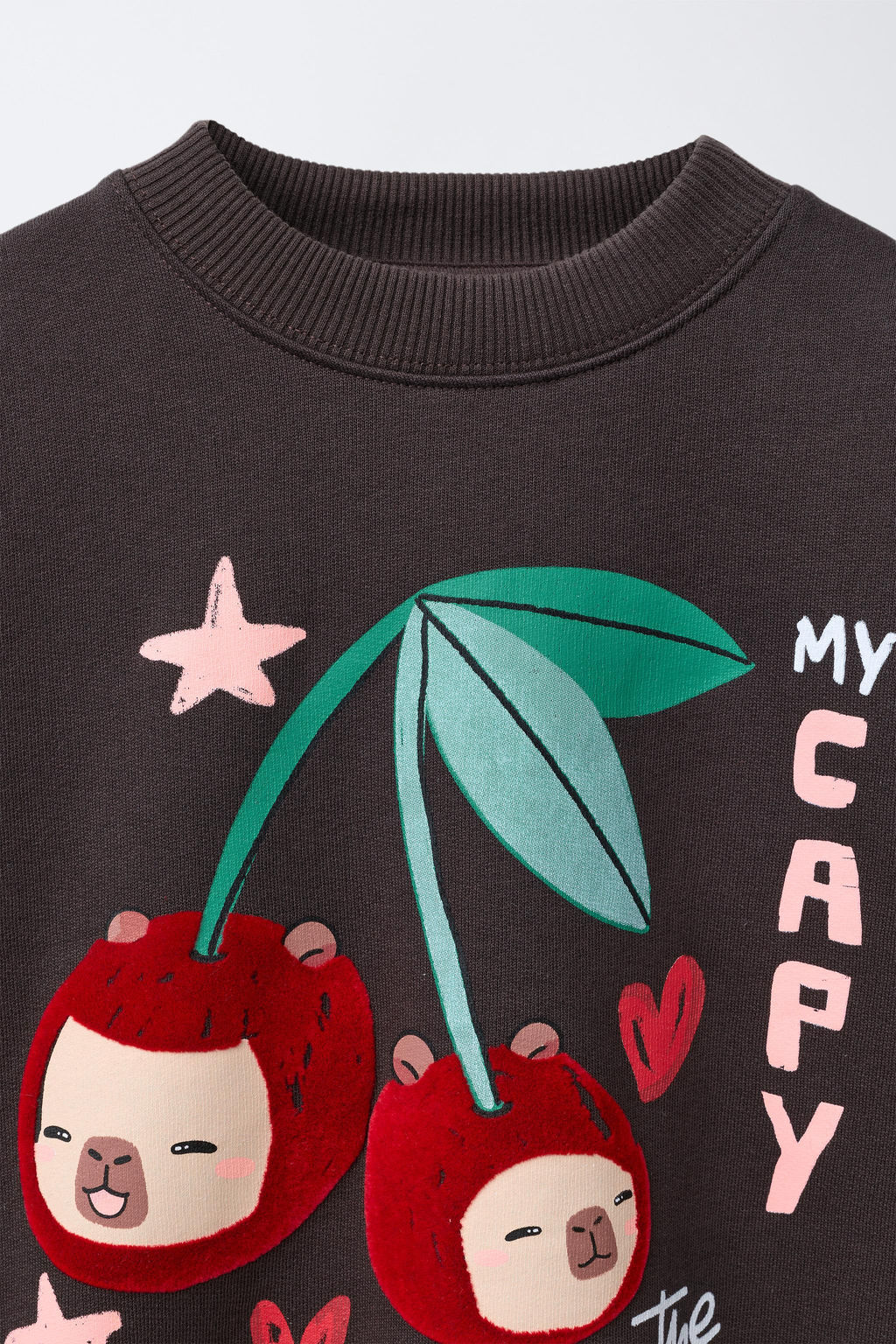 FLOCK CHERRY CAPYBARA CAPYFUN  SWEATSHIRT - Zara фото 3