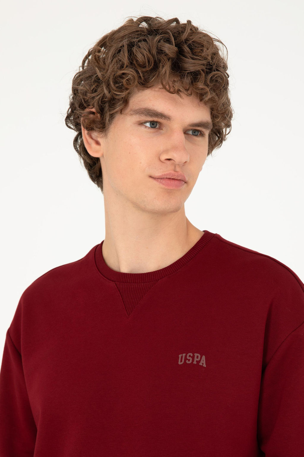 Мужской бордово-красный базовый свитшот Неожиданная скидка в корзине - U.s. polo assn фото 2