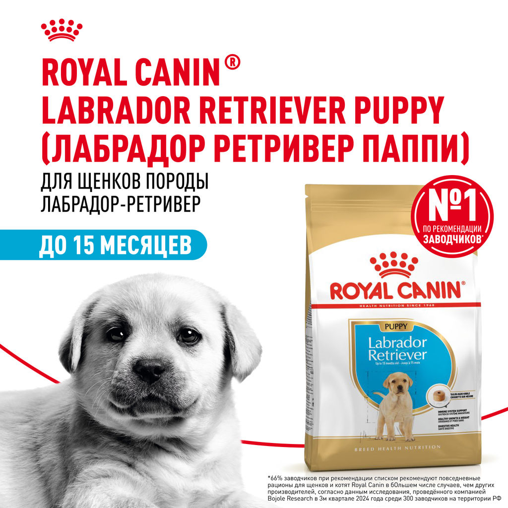 RC Для щенков Лабрадора: до 15мес. (Labrador Retriever puppy 33) 24910300R2
