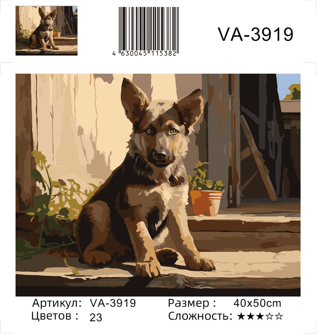 Картина по номерам на холсте и подрамнике 40х50 см