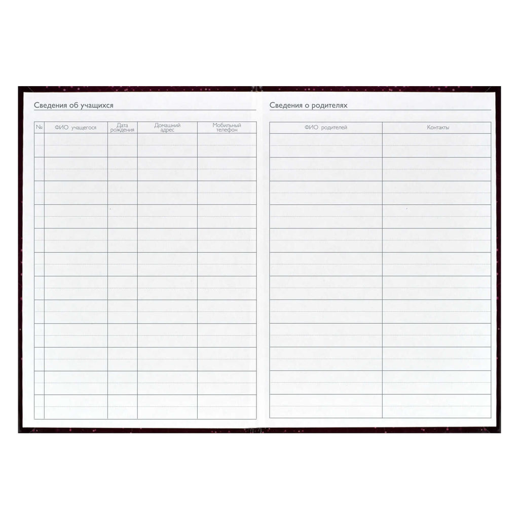 Ежегодник учителя арт. 62336 БОРДОВАЯ ФАКТУРА - Феникс+ фото 10