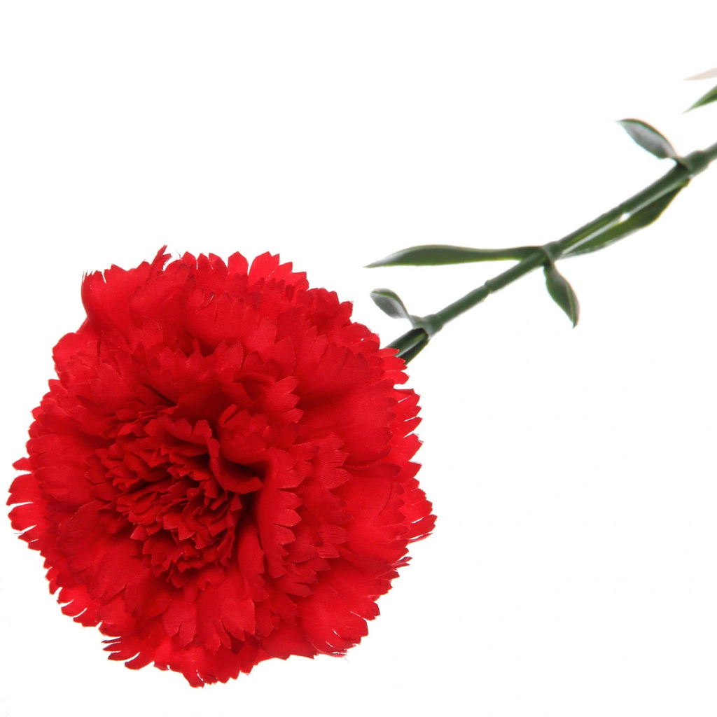 Цена за 3шт. Цветок искусственный "Гвоздика" 68см красная
