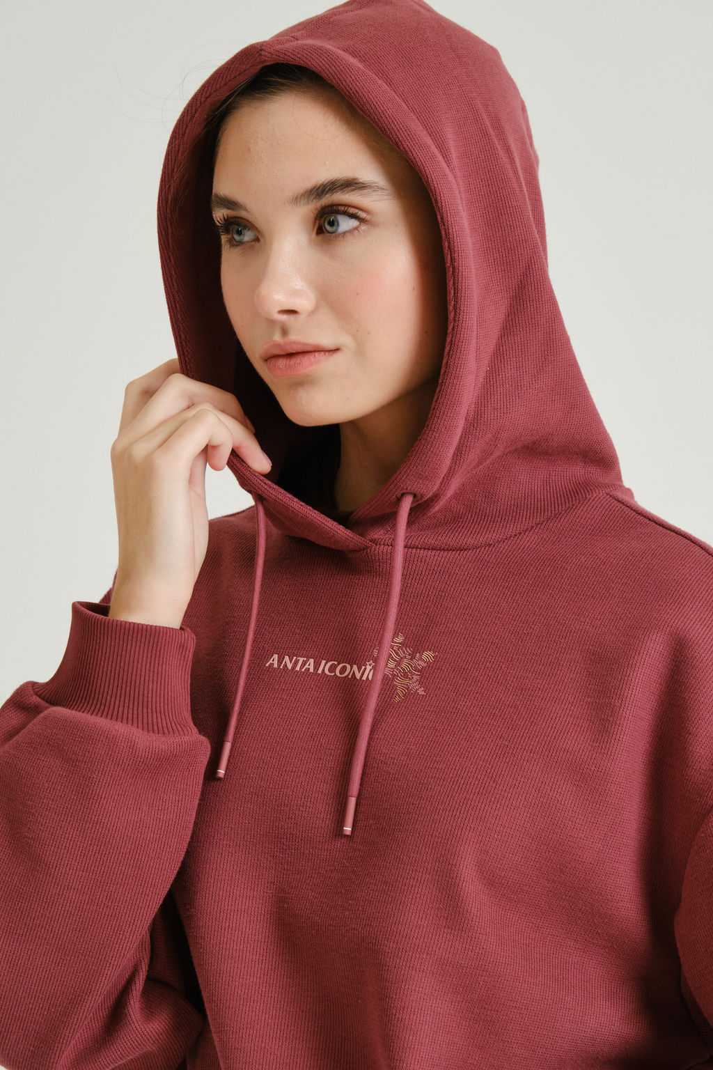 Худи утепленное Красный ICONIC Sweat Hoodie